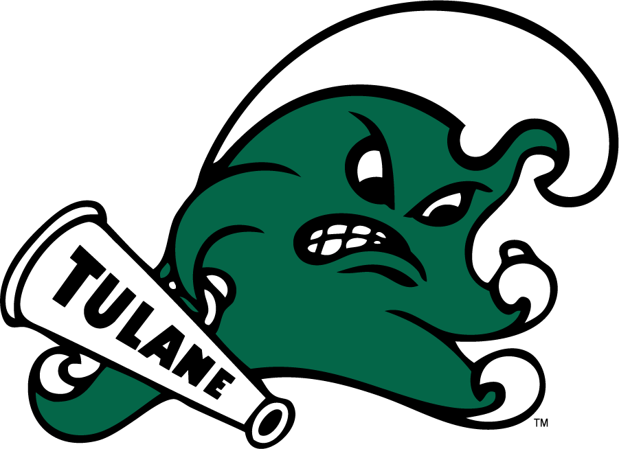 Tulane Green Wave 2016-2017 Secondary Logo v3 iron on transfers for T-shirts